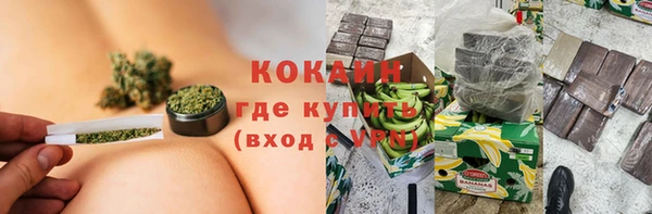 прущие грибы Богородицк