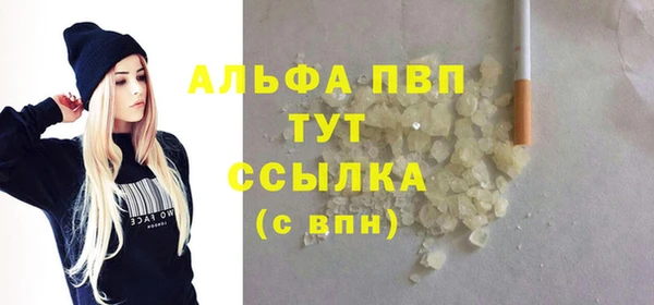 прущие грибы Богородицк